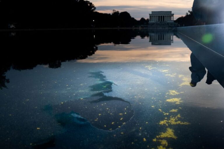 Chipped paint and algae are visible in the Lincoln Memorial Reflecting Pool, after renovations following a directive from Trump, in Washington, DC, in June.