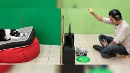 18 dogs and their owners participated in the experiment.