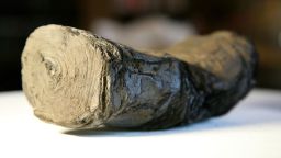 One of the two Herculaneum scrolls from L'Institut de France being scanned at Diamond Light Source by the University of Kentucky, Digital Restoration Initiative team.
(Credit: The Digital Restoration Initiative/The University of Kentucky)