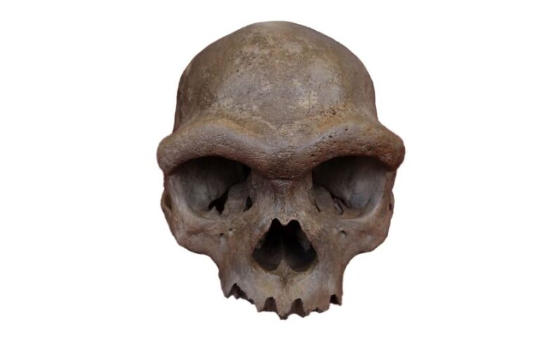 Genetic material from a striking <a href=