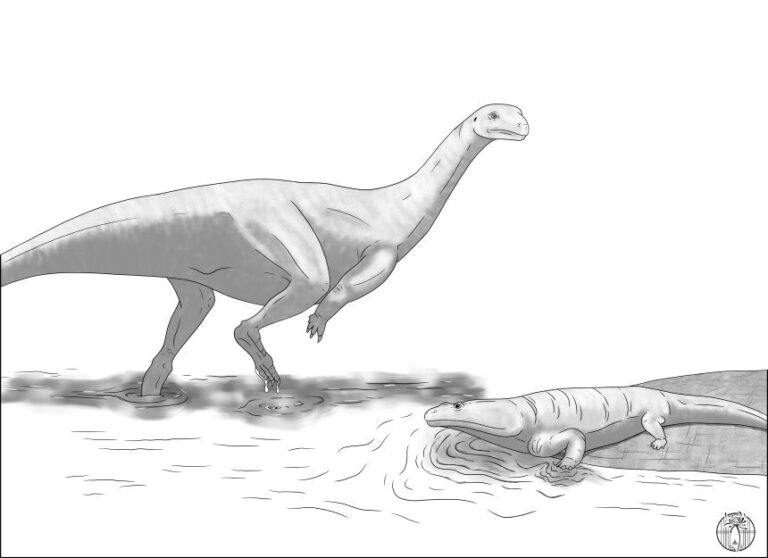 An artist reconstruction of <em>Musankwa sanyatiensis</em> wading through Triassic waters.
