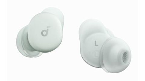 21sah2-n2l-sl500.jpg