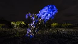 The overall winner of the Mangrove Photographer of the Year 2026 was taken by Indian marine biologist and photographer Gaurav Patil. It shows an abandoned fishing net, known as a “ghost net,” glowing under ultraviolet light, tangled in a mangrove shore of Nandgaon village, near Mumbai. Scroll through to see more images from the competition.