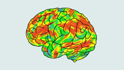 brain shrooms-v5.png