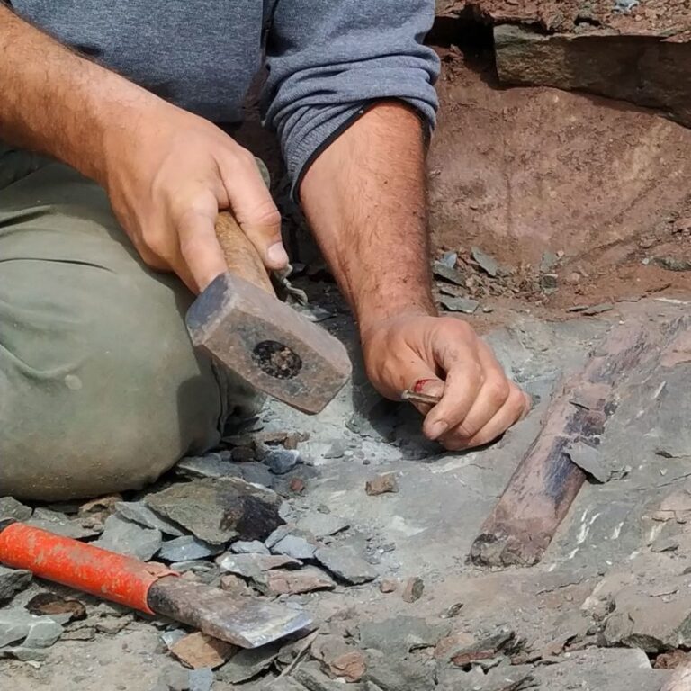 Paleontologists also excavated dinosaur bones at the site Chorrillo Formation in southern Argentina.