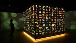 The new National Geographic Museum of Exploration in Washington D.C. takes visitors into a world of science and adventure. Highlights include the “Photo Ark: Animals of Earth” exhibit, featuring some of photographer Joel Sartore’s 17,000 wildlife portraits. <strong>Scroll through to see more of the museum</strong>.