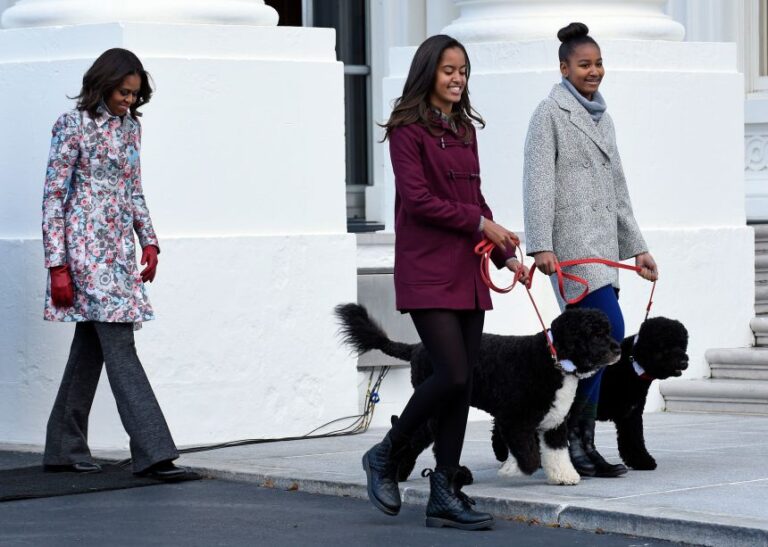 First lady Michelle Obama, left, follows her daughters Malia Obama, holding the leash for Bo, center, and Sasha Obama, holding the leash for Sunny, as they arrive to welcome the Official White House Christmas Tree on November 28, 2014.