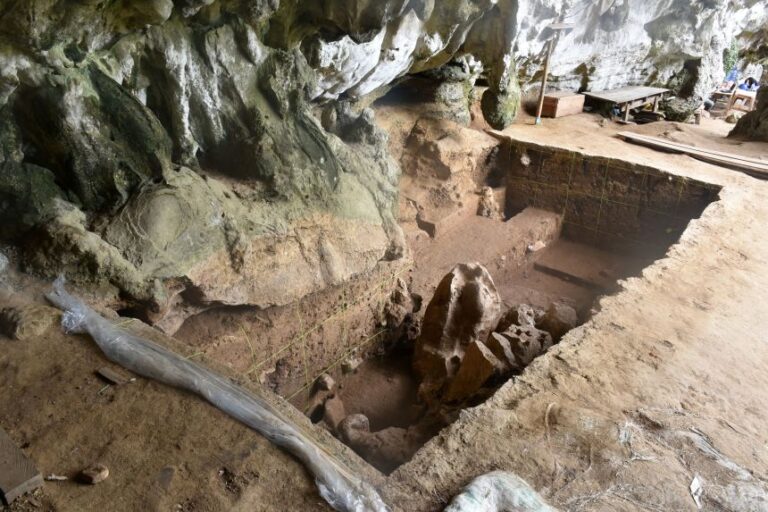 The older forager's remains were excavated from the Leang Bulu Bettue cave.