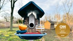 bird buddy smart bird feeder
