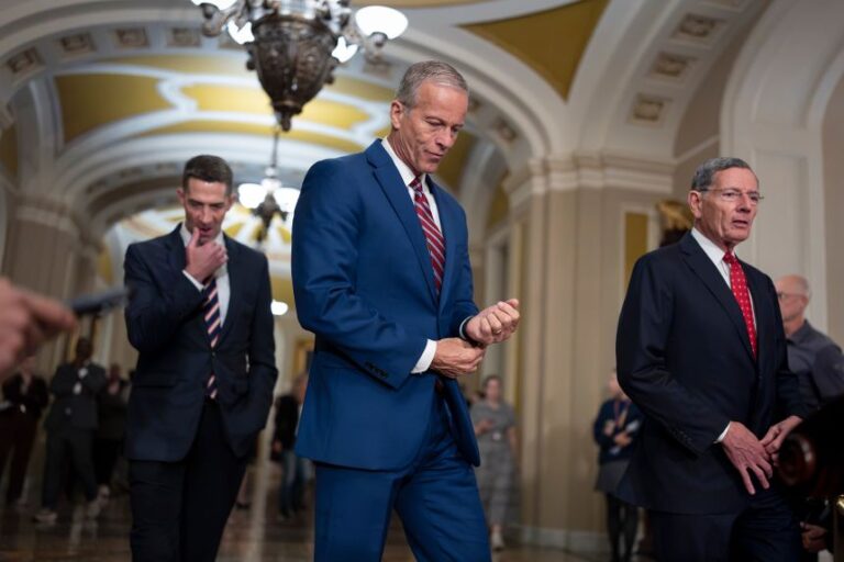 Senate Majority Leader John Thune, center, flanked by Sen. Tom Cotton and Sen. John Barrasso, arrives to speak to reporters after a closed meeting with fellow Republican senators, at the US Capitol on Wednesday.