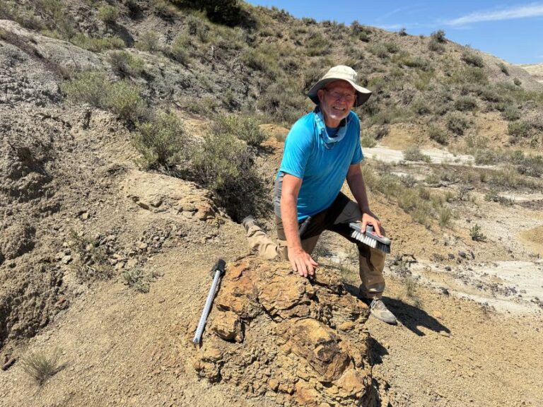 Kent Hups, a high school science teacher from Northglenn, Colorado, first found and helped identify the T. rex footprint.
