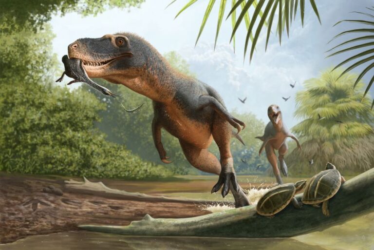 An illustration of a tyrannosaur preying on an ancient diving bird.