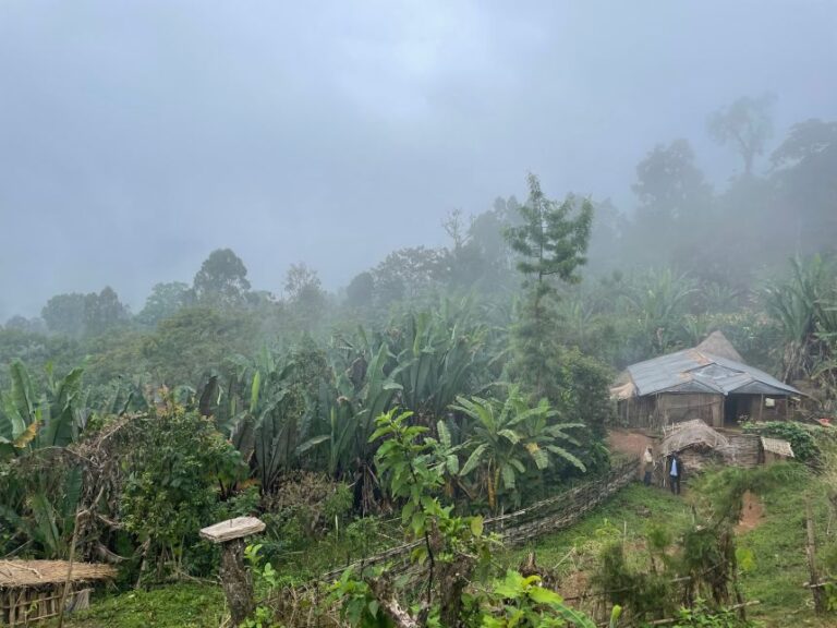 Enset is among more than 6,000 species of plants found in Ethiopia.
