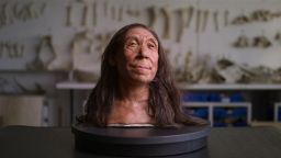 Secrets of the Neanderthals. Cr. Courtesy of Netflix © 2024