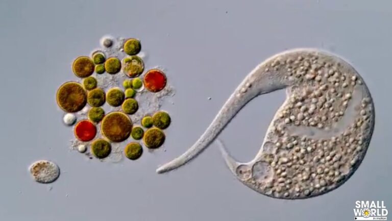 A screengrab from the video by Nguyen Nam Nhat that has now been promoted to competition winner