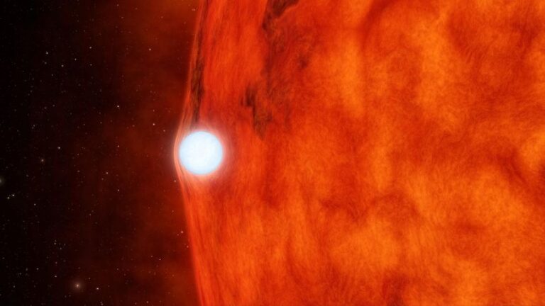 An artist's depiction of a white dwarf passing in front of a small red star.