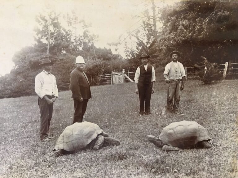 A photo taken in 1882 when Jonathan (left) arrived in St. Helena.