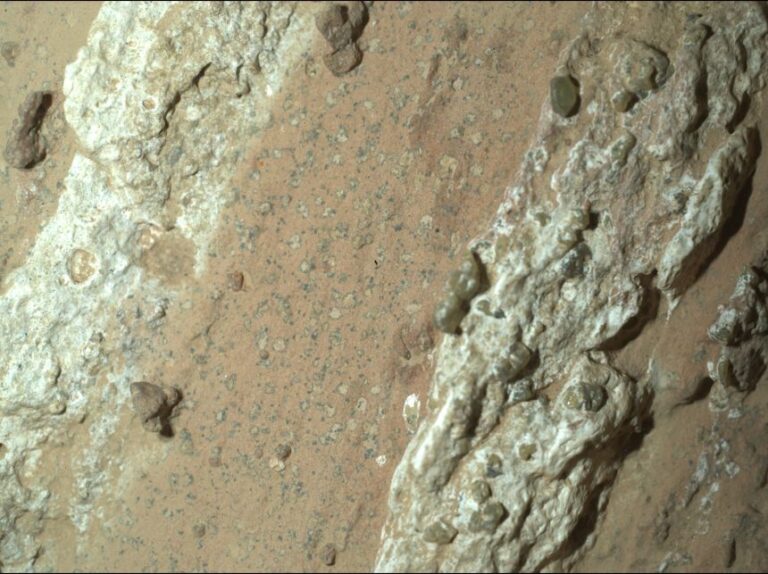 Leopard spot marks appear on a reddish Martian rock nicknamed Cheyava Falls.