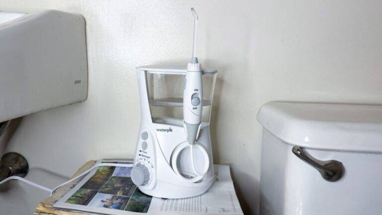Waterpik Aquarius Water Flosser