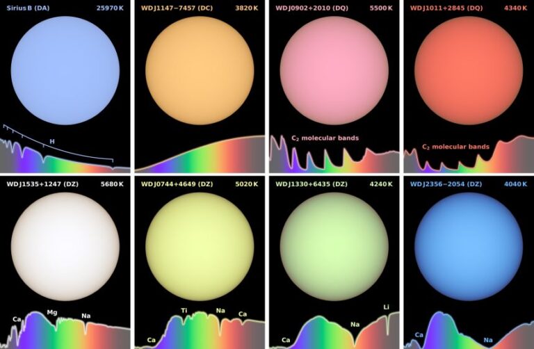 Simulated images of a number of white dwarfs of different colors.