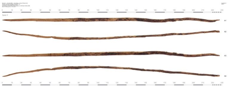 The wooden weapon would have been similar to javelin-style throwing spears found in 1995 at Schöningen, Lower Saxony in Germany, which are 200,000 to 300,000 years old.