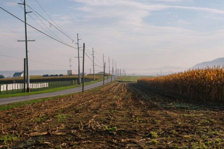 Morning light is seen over corn fields and farmland in Belleville, Pennsylvania on Friday, October 2, 2026. Mifflin County, where Belleville is situated, is near the epicenter of the largest measles outbreak in the United States.
