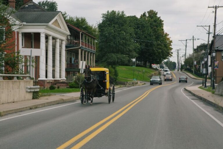 Horse-and-buggy carriages share space with cars in Belleville.