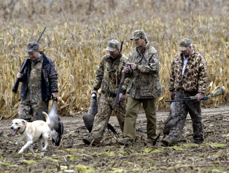 Dressed in hunting camouflage, Democratic presidential nominee John Kerry walks through a field with his hunting companions after a goose hunt in Springfield Township, Ohio, on October 21, 2004.