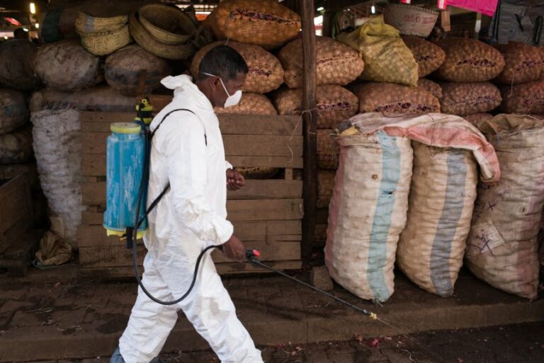 A council worker walks past sacks of potatoes, as he sprays disinfectant during the clean-up of the market in the Anosibe district of Madagascar, on October 10, 2017, during an outbreak of pneumonic plague.